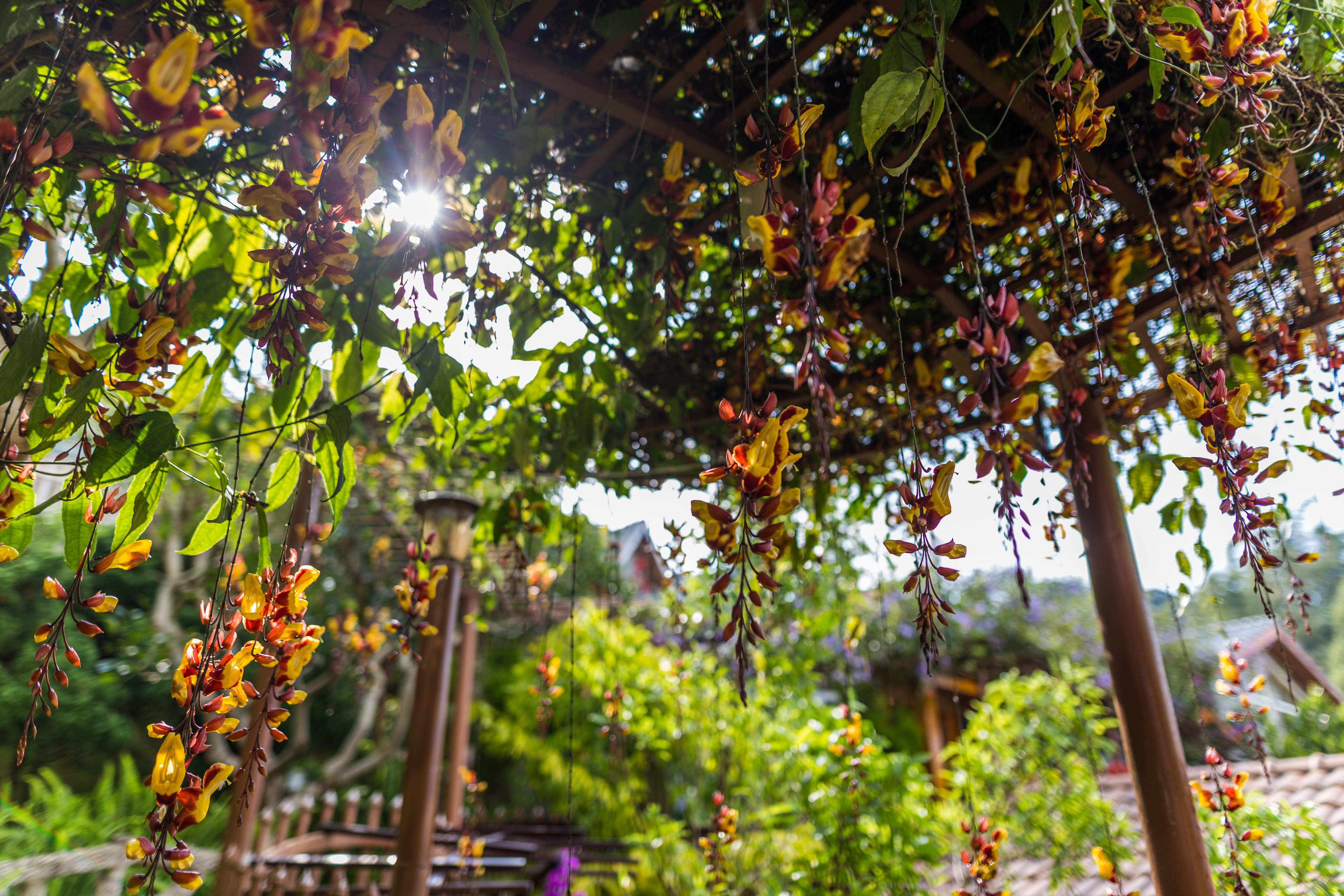 Zen Valley Dalat Exterior foto